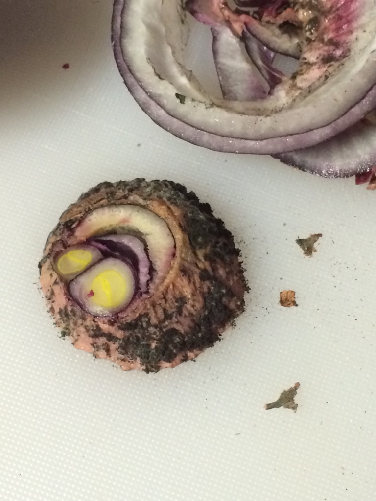 onion that was bought a few days ago and this was what it looked like.