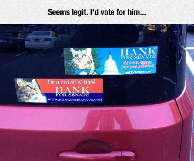 display device - Seems legit. I'd vote for him... Hank yans Bers hankforsenate.com I'm a Friend of Hank Bank For Senate