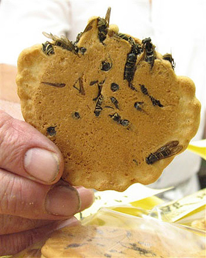 japanese snack wasp rice crackers