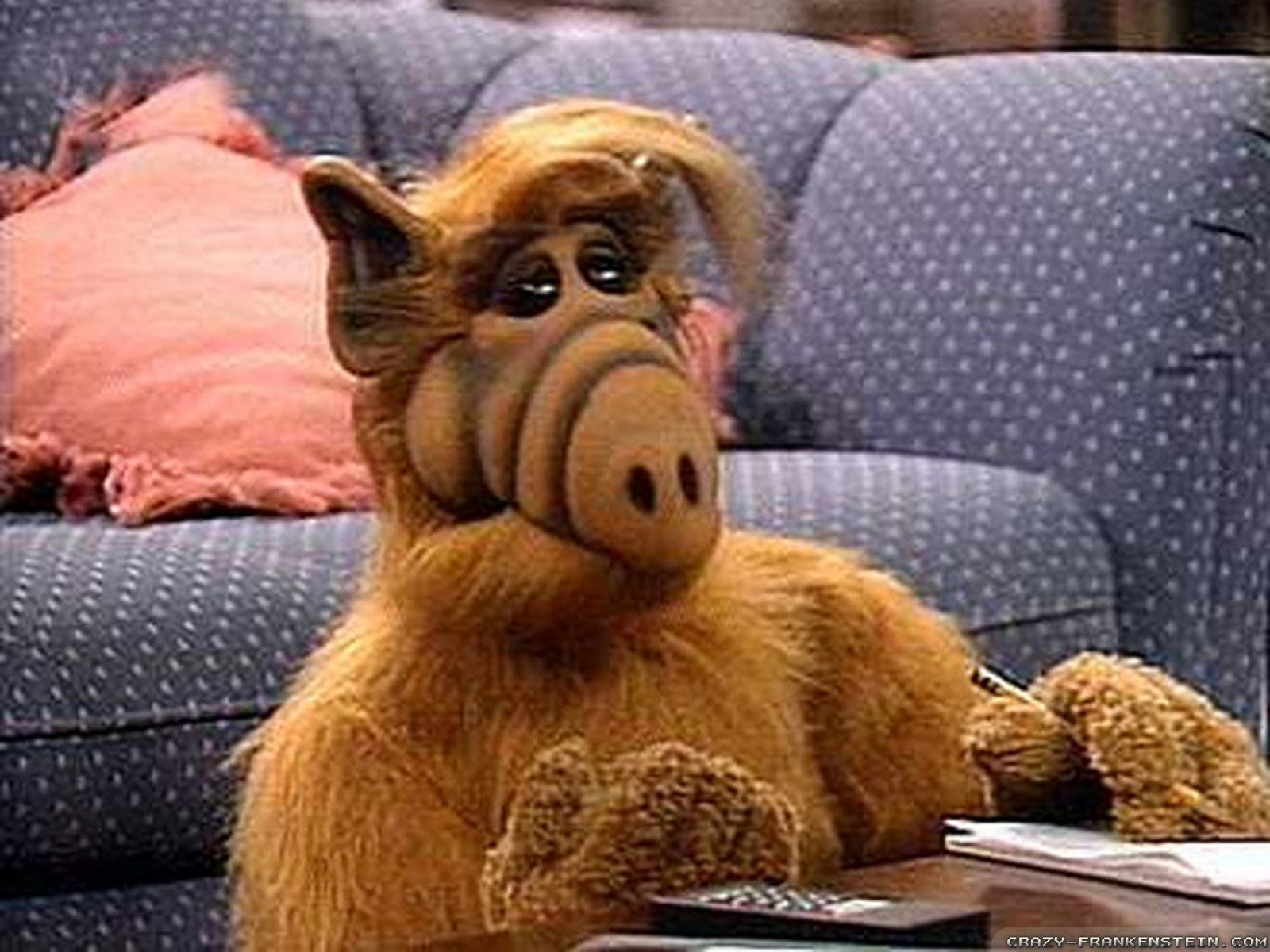 ALF - In the series finale, ALF is trying to contact Australia on the radio when he stumbles across Skip and Rhonda, two surviving Melmacians who are nearing Earth. They invite ALF to go with them. As it turns out, Skip and Rhonda have purchased a new planet and are on their way there to start a new Melmac.

ALF accepts the invitation and breaks the news to the Tanner family. After throwing him a going away party, ALF sets out for the long-awaited reunion. As the alien spaceship approaches ALF, the Alien Task Force jumps in and captures him. As the episode closes, the spaceship flies away and ALF is left in the hands of the dissection-friendly military.