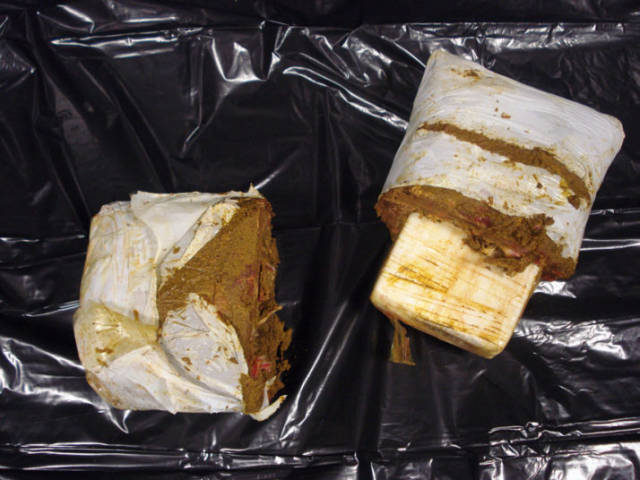 A block of cocaine concealed in a package of frozen meat in New York. A man arrived at Kennedy International Airport from Trinidad with three large packages of frozen meat in his suitcase. Customs officials took a closer look and said they found more than 7 pounds of powder cocaine inside.