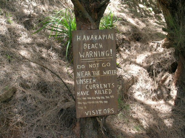 nā pali coast state park - Hanakapial Beach | Warning! Do Not Go Near The Water Unseen Currents Have Killed 4 44 Visitors |