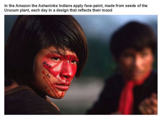 indian face paint with a red nose - In the Amazon the Ashaninka Indians apply facepaint, made from seeds of the Urucum plant, each day in a design that reflects their mood
