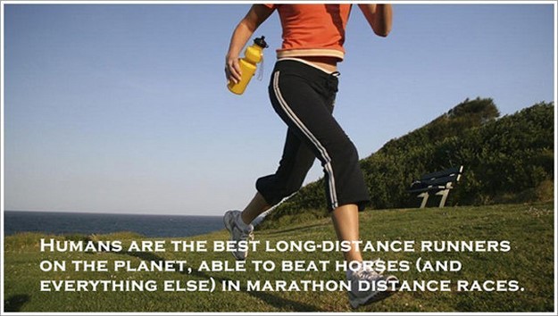 living healthy - Humans Are The Best LongDistance Runners On The Planet, Able To Beat Horses And Everything Else In Marathon Distance Races,