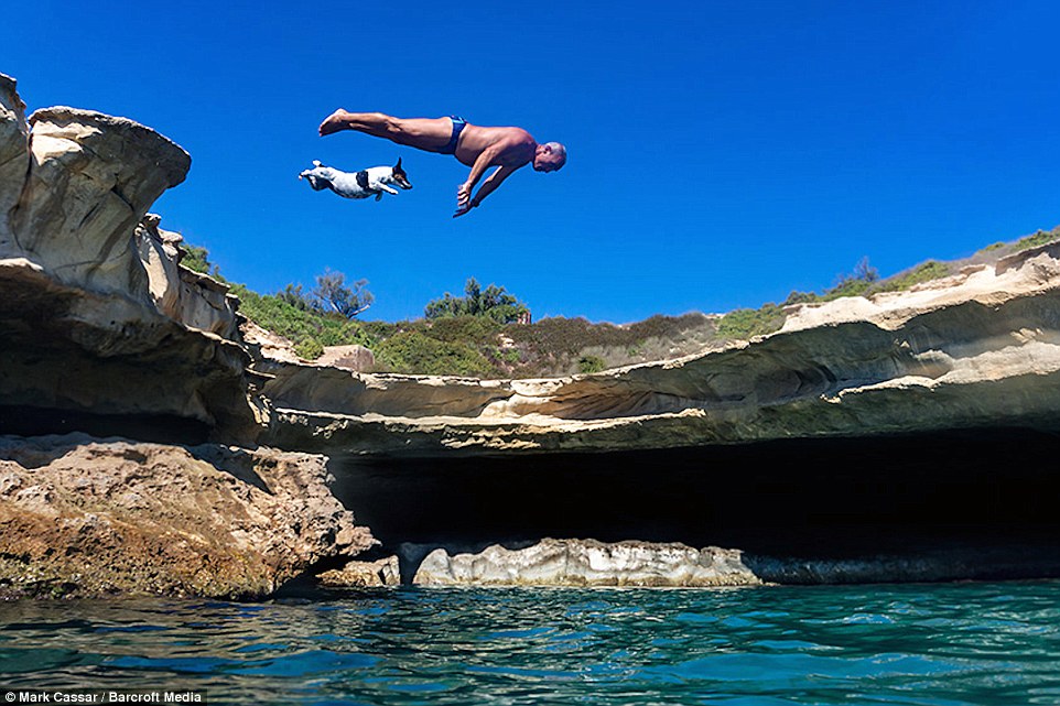 A man and his pet dog put on a hilarious synchronised dive in Malta: