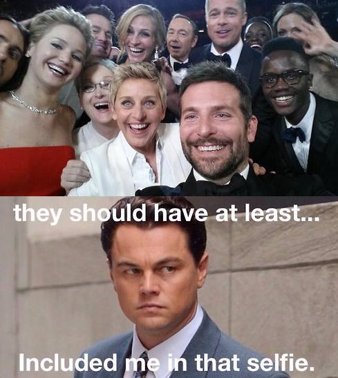 People depicted how Leo felt about Ellen's record-breaking selfie