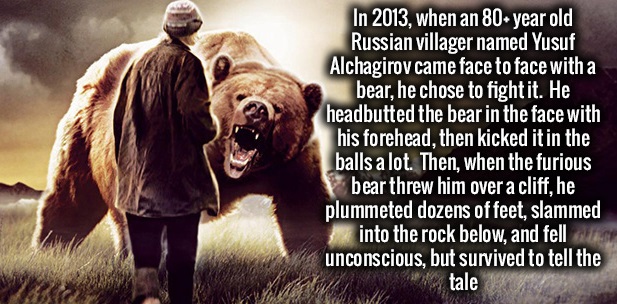 grizzly man - In 2013, when an 80 year old Russian villager named Yusuf Alchagirov came face to face with a bear, he chose to fight it. He headbutted the bear in the face with his forehead, then kicked it in the balls a lot. Then, when the furious bear th