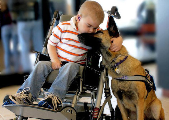 Service dogs can be trained to help people with mental illnesses, fetch items for the disabled, and even detect seizures before they happen.