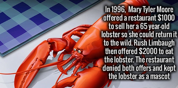 beautiful lobster - In 1996, Mary Tyler Moore offered a restaurant $1000 to sell her a 65 yearold lobster so she could return it to the wild. Rush Limbaugh then offered $2000 to eat the lobster. The restaurant denied both offers and kept the lobster as a 