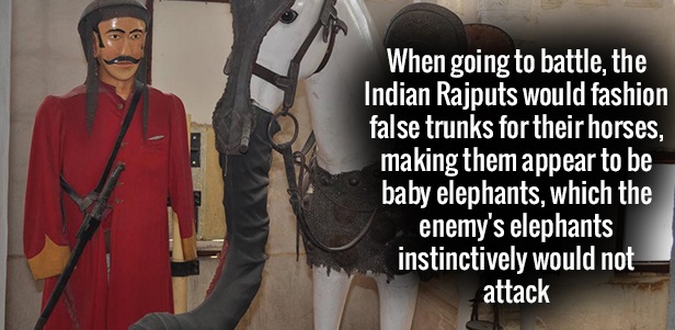 When going to battle, the Indian Rajputs would fashion false trunks for their horses, making them appear to be baby elephants, which the enemy's elephants instinctively would not attack