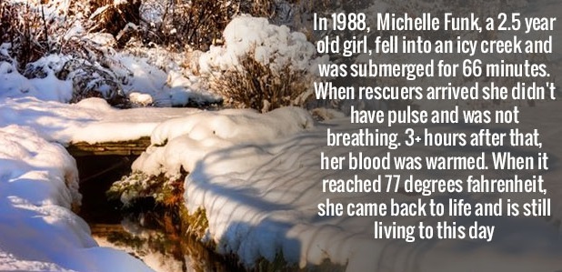because i laugh a lot - In 1988, Michelle Funk, a 2.5 year old girl, fell into an icy creek and was submerged for 66 minutes. When rescuers arrived she didn't have pulse and was not breathing. 3 hours after that, her blood was warmed. When it reached 77 d