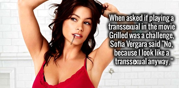 beauty - When asked if playing a transsexual in the movie Grilled was a challenge, Sofia Vergara said "No, because I look a transsexual anyway."