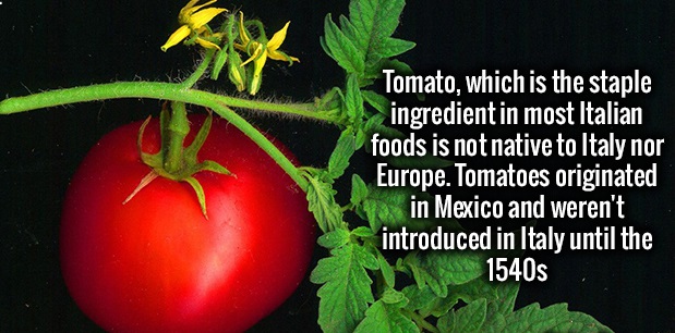 Tomato, which is the staple ingredient in most Italian foods is not native to Italy nor Europe. Tomatoes originated in Mexico and weren't introduced in Italy until the 1540s