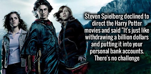 harry potter and the goblet of fire 2005 - Steven Spielberg declined to direct the Harry Potter movies and said "It's just withdrawing a billion dollars and putting it into your personal bank accounts. There's no challenge