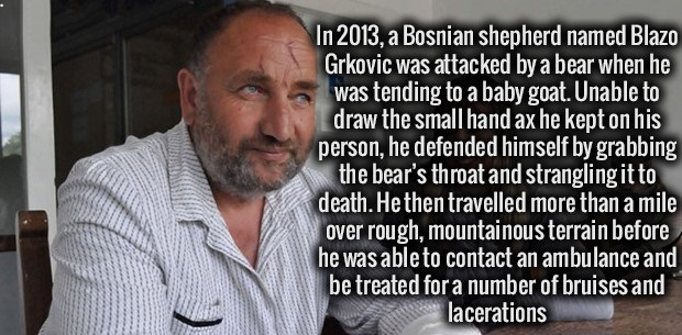 fact callaway upro - In 2013, a Bosnian shepherd named Blazo Grkovic was attacked by a bear when he was tending to a baby goat. Unable to draw the small hand ax he kept on his person, he defended himself by grabbing the bear's throat and strangling it to 
