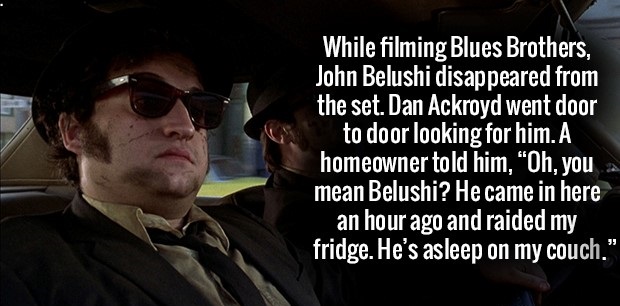 blues brothers fanart - While filming Blues Brothers, John Belushi disappeared from the set. Dan Ackroyd went door to door looking for him. A homeowner told him, "Oh, you mean Belushi? He came in here an hour ago and raided my fridge. He's asleep on my co