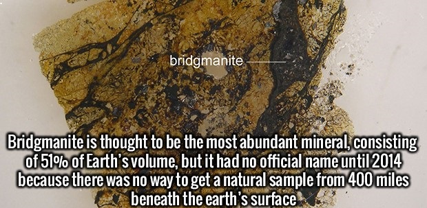 34 Interesting Facts To Entertain Your Brain