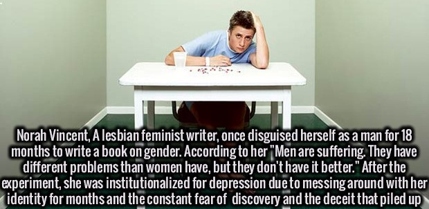 table - Norah Vincent A lesbian feminist writer, once disguised herself as a man for 18 months to write a book on gender. According to her "Men are suffering. They have different problems than women have, but they don't have it better." After the experime