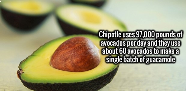 avocado - Chipotle uses 97,000 pounds of avocados per day and they use about 60 avocados to make a single batch of guacamole
