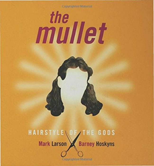 poster - Copyrighted Material the mullet Hairstyle Of The Gods Mark Larson Barney Hoskyns 0 0 Copyrighted material