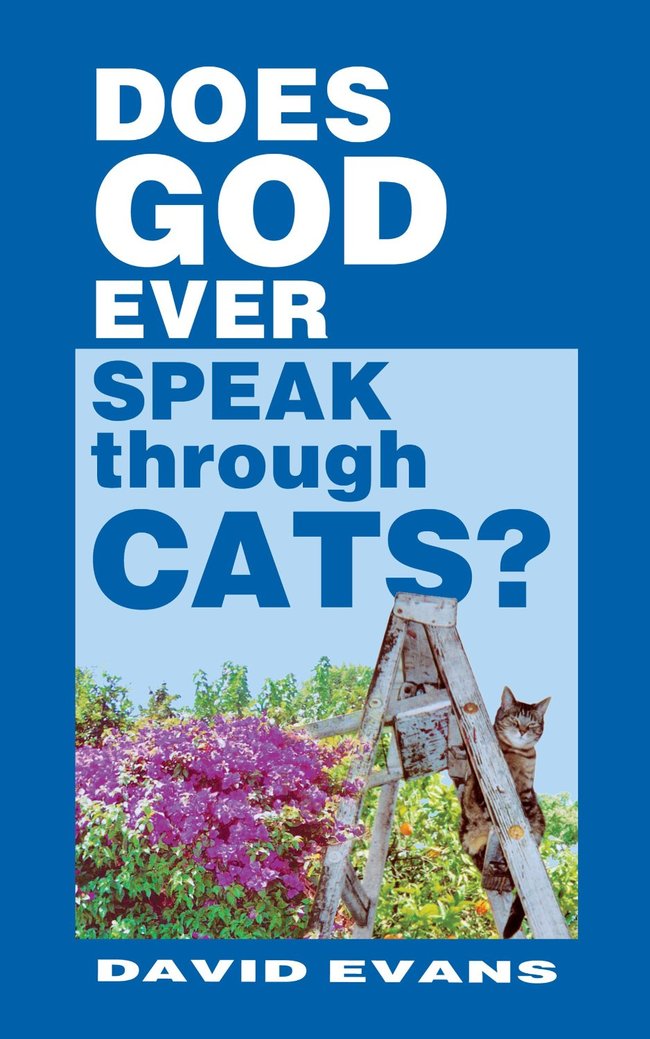 funny amazon book - Does God Ever Speak through Cats? David Evans