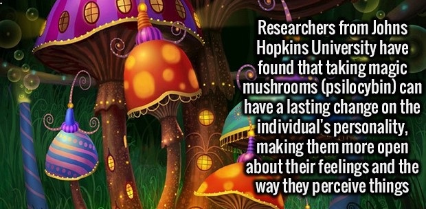 fact event - Researchers from Johns Hopkins University have found that taking magic mushrooms psilocybin can have a lasting change on the individual's personality, making them more open about their feelings and the way they perceive things