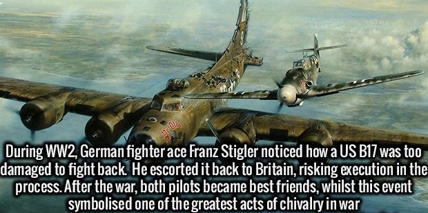 fact franz stigler charlie brown - During WW2, German fighter ace Franz Stigler noticed how a Us B17 was too damaged to fight back. He escorted it back to Britain, risking execution in the process. After the war, both pilots became best friends, w