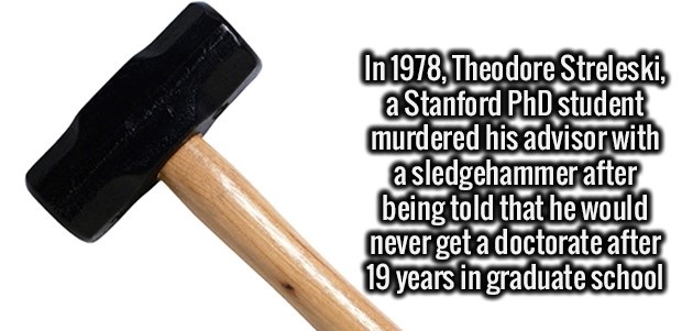 25 Amusing Facts To Entertain Your Brain