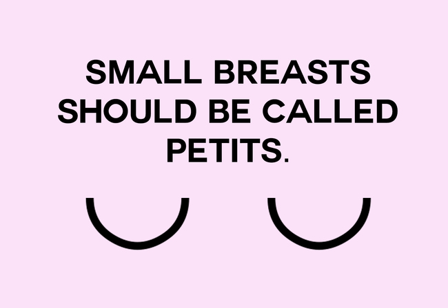 Name - Small Breasts Should Be Called Petits.