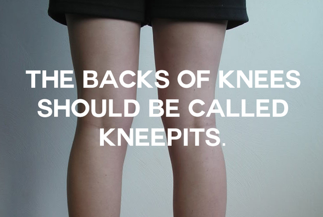 knee pit - The Backs Of Knees Should Be Called Kneepits.
