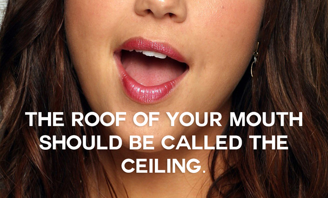 lip - The Roof Of Your Mouth Should Be Called The Ceiling