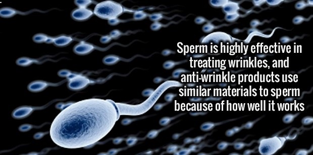 Sperm is highly effective in treating wrinkles, and antiwrinkle products use similar materials to sperm because of how well it works
