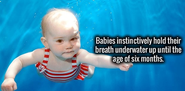 towergate insurance - Babies instinctively hold their breath underwater up until the age of six months.