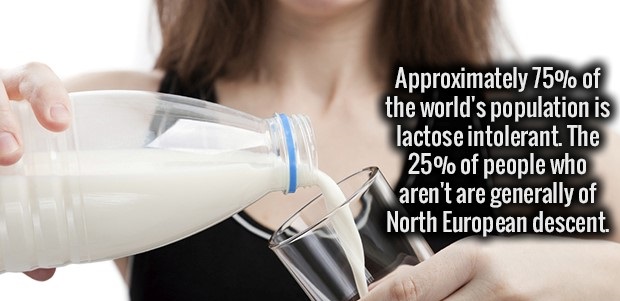 water - Approximately 75% of the world's population is lactose intolerant. The 25% of people who aren't are generally of North European descent.