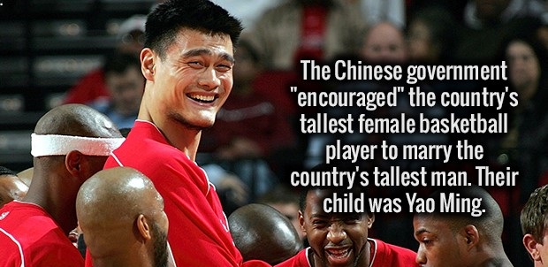 tallest basketball players yao ming - The Chinese government "encouraged" the country's tallest female basketball player to marry the country's tallest man. Their child was Yao Ming.
