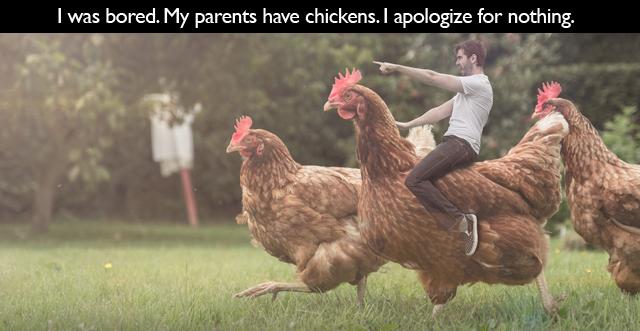 people who have way too much time - I was bored. My parents have chickens. I apologize for nothing.