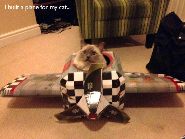 these people have way too much time - I built a plane for my cat...