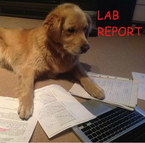 lab report funny - Lab Report