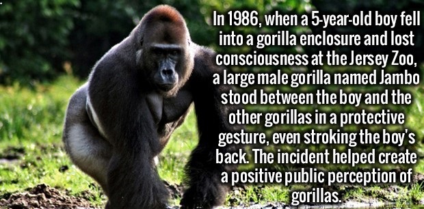 35 Interesting Facts To Entertain Your Brain