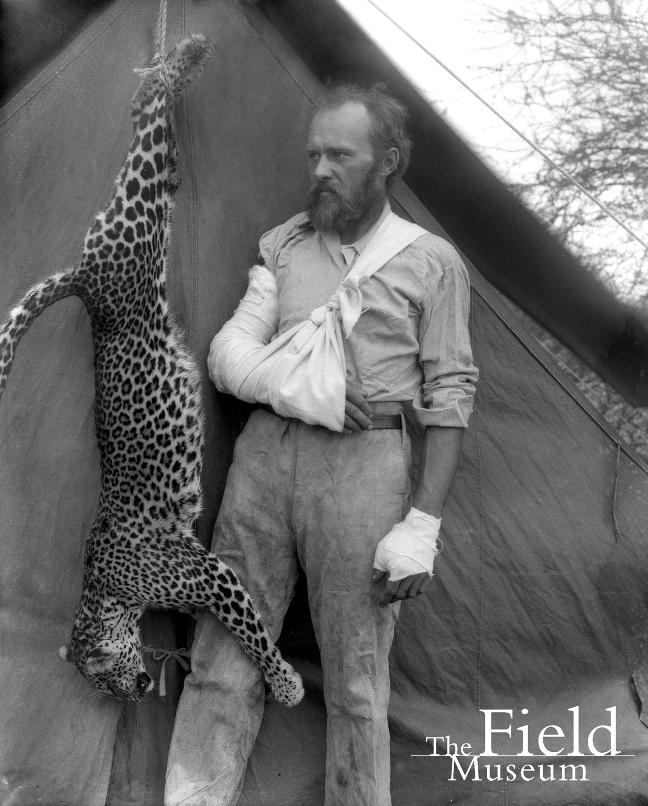 Overly manly man Carl Akeley posed with the leopard he killed with his bare hands after it attacked him, 1896