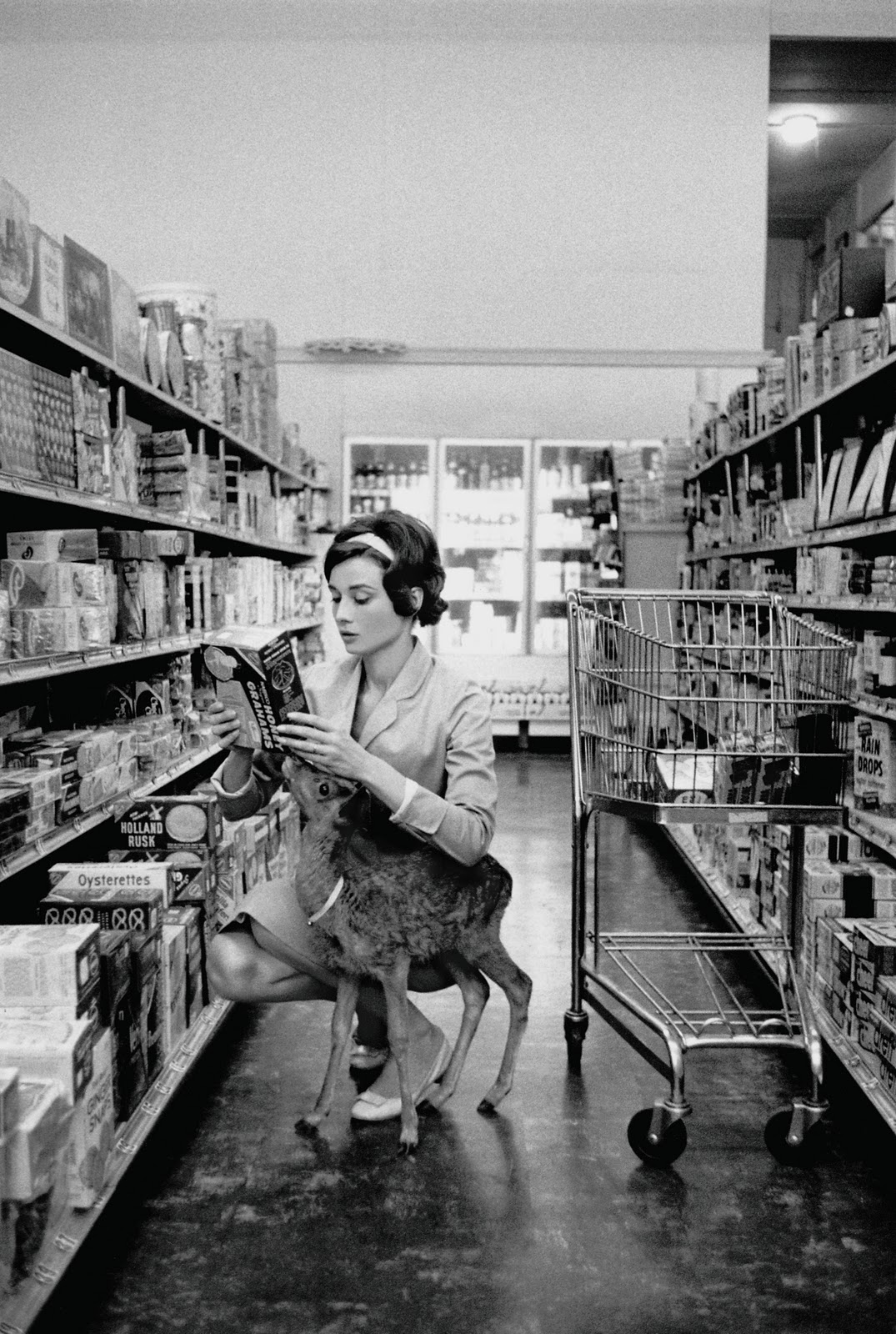 Audrey Hepburn shopping with her pet deer in Beverly Hills, CA, 1958