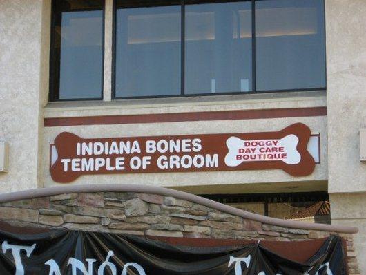 funny name business - Indiana Bones Temple Of Groom Doggy Day Care Boutique Vano