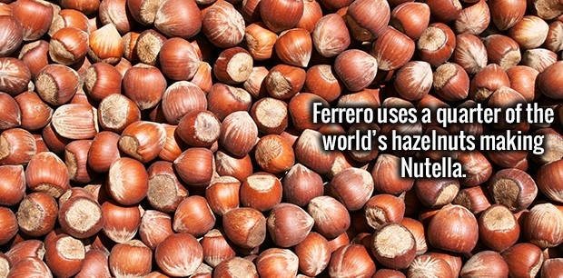 Ferrero uses a quarter of the world's hazelnuts making Nutella.