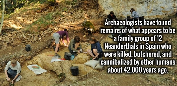 neanderthal site - Archaeologists have found remains of what appears to be a family group of 12 Neanderthals in Spain who were killed, butchered, and cannibalized by other humans about 42,000 years ago.