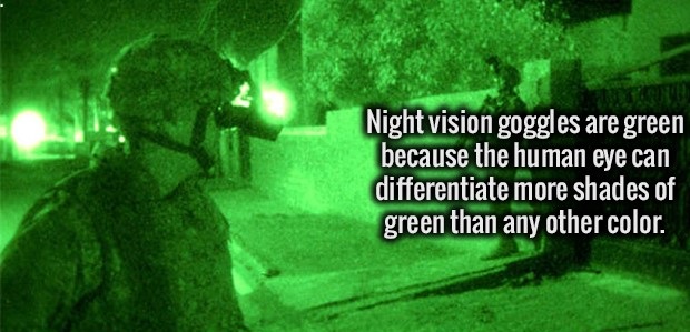 green night vision goggles - Night vision goggles are green because the human eye can differentiate more shades of green than any other color.