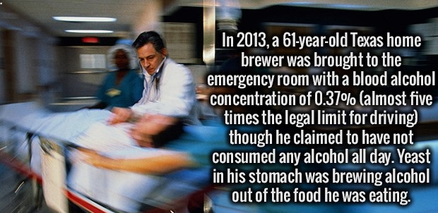 In 2013, a 61yearold Texas home brewer was brought to the emergency room with a blood alcohol concentration of 0.37% almost five times the legal limit for driving though he claimed to have not consumed any alcohol all day. Yeast in his stomach was brewing