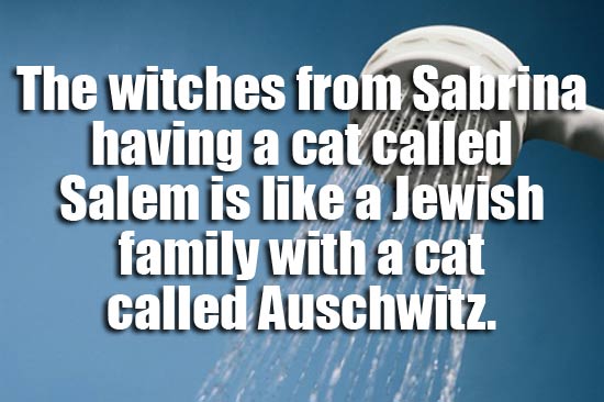 showerthoughts - best shower thought - The witches from Sabrina having a cat called Salem is a Jewish family with a cat called Auschwitz.