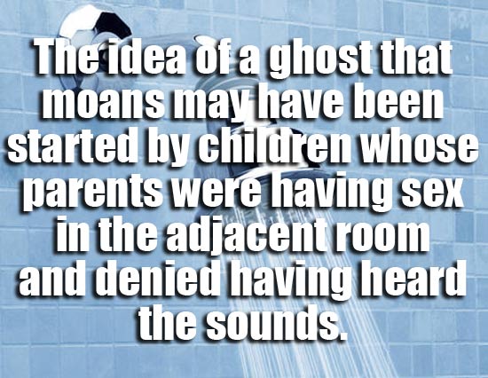 showerthoughts - shower thoughts ghosts - The idea of a ghost that moans may have been started by children whose parents were having sex in the adjacent room and dented having heard the sounds