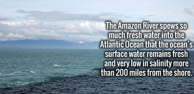 bluewater manufacturing - The Amazon River spews so much fresh water into the Atlantic Ocean that the ocean's surface water remains fresh and very low in salinity more than 200 miles from the shore.