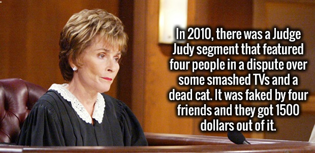 judge judy tv - In 2010, there was a Judge Judy segment that featured four people in a dispute over some smashed TVs and a dead cat. It was faked by four friends and they got 1500 dollars out of it.